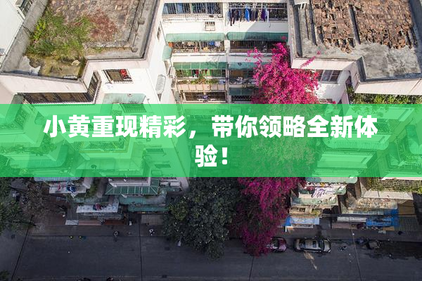 小黄重现精彩，带你领略全新体验！