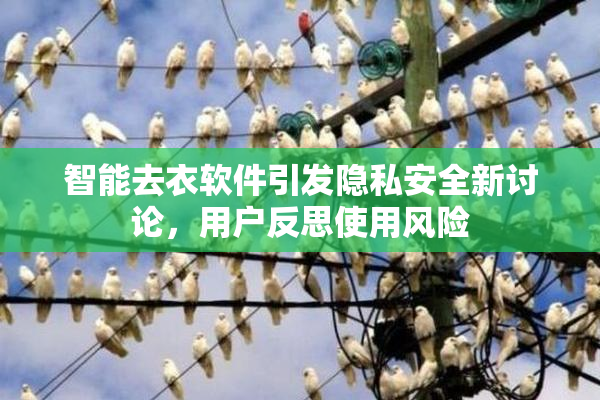 智能去衣软件引发隐私安全新讨论，用户反思使用风险