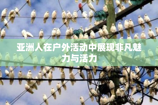 亚洲人在户外活动中展现非凡魅力与活力