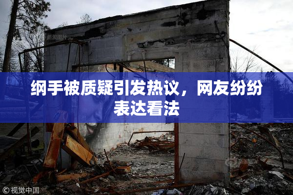 纲手被质疑引发热议，网友纷纷表达看法
