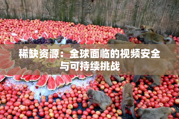 稀缺资源：全球面临的视频安全与可持续挑战