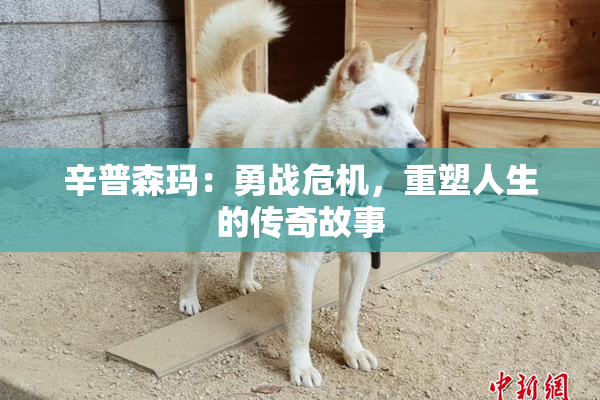 辛普森玛：勇战危机，重塑人生的传奇故事