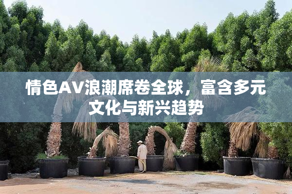 情色AV浪潮席卷全球，富含多元文化与新兴趋势