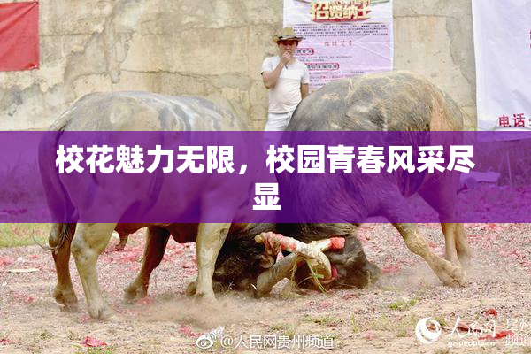 校花魅力无限，校园青春风采尽显