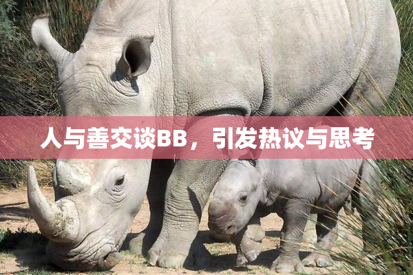 人与善交谈BB，引发热议与思考