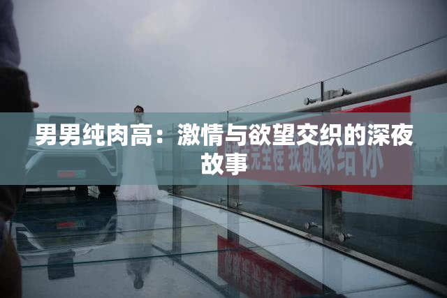 男男纯肉高：激情与欲望交织的深夜故事