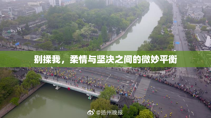 别揉我，柔情与坚决之间的微妙平衡
