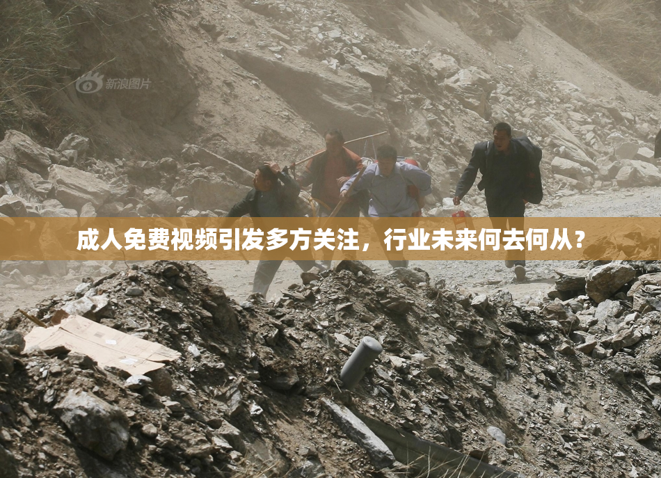 成人免费视频引发多方关注，行业未来何去何从？
