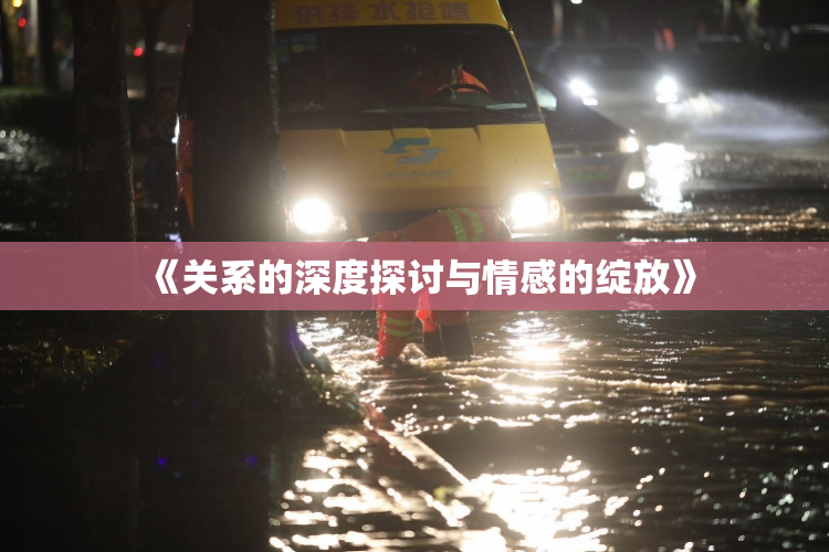 《关系的深度探讨与情感的绽放》
