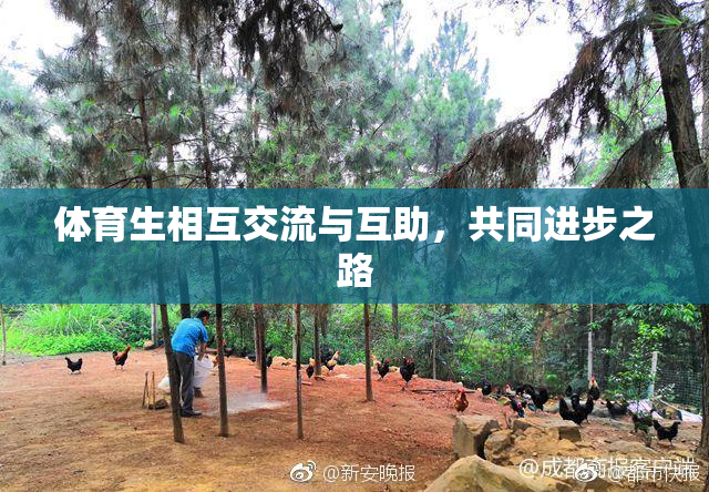 体育生相互交流与互助，共同进步之路