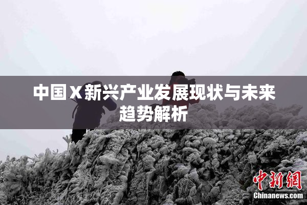 中国Ⅹ新兴产业发展现状与未来趋势解析