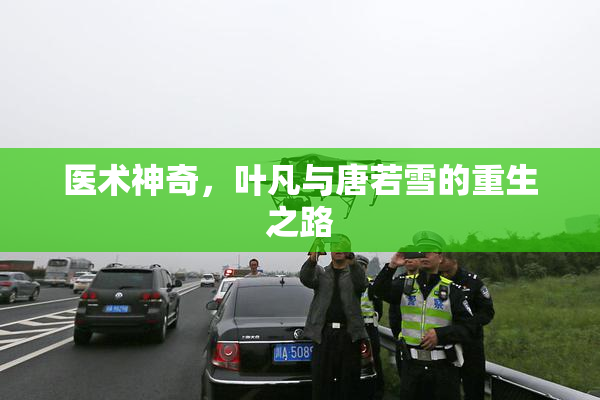 医术神奇，叶凡与唐若雪的重生之路