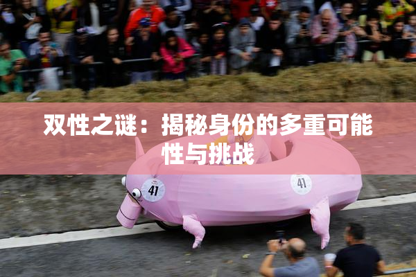 双性之谜：揭秘身份的多重可能性与挑战