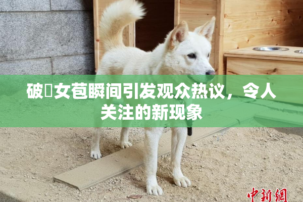 破處女苞瞬间引发观众热议，令人关注的新现象