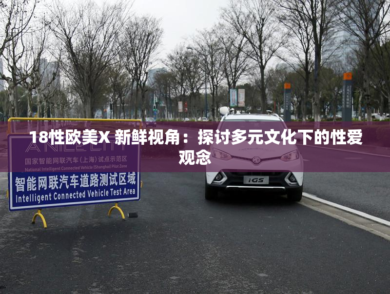 18性欧美X 新鲜视角：探讨多元文化下的性爱观念