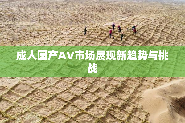 成人国产AV市场展现新趋势与挑战