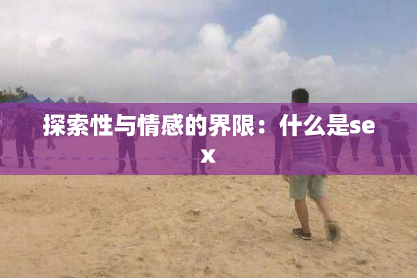探索性与情感的界限：什么是sex