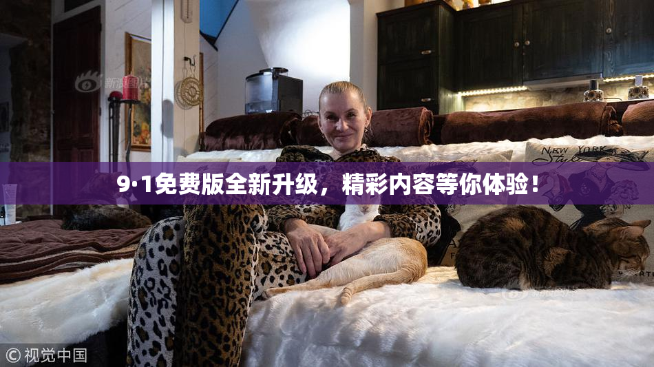 9·1免费版全新升级，精彩内容等你体验！