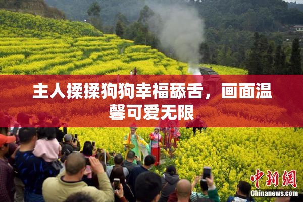 主人揉揉狗狗幸福舔舌，画面温馨可爱无限
