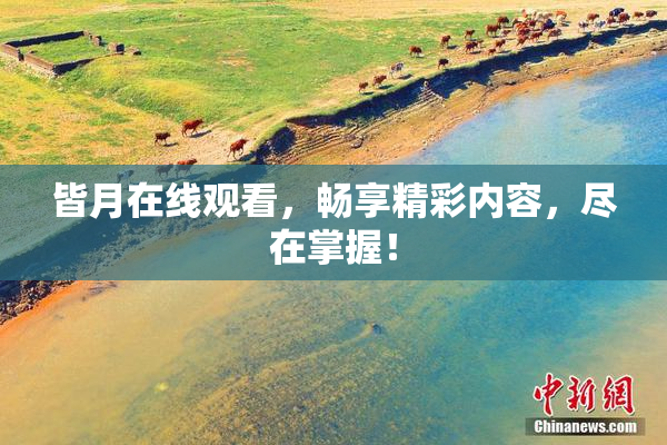 皆月在线观看，畅享精彩内容，尽在掌握！