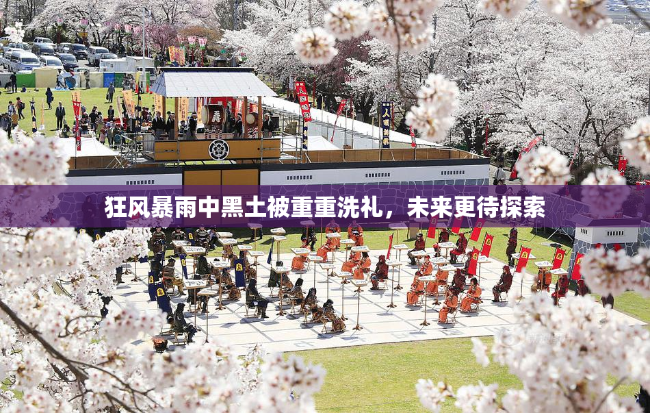 狂风暴雨中黑土被重重洗礼，未来更待探索
