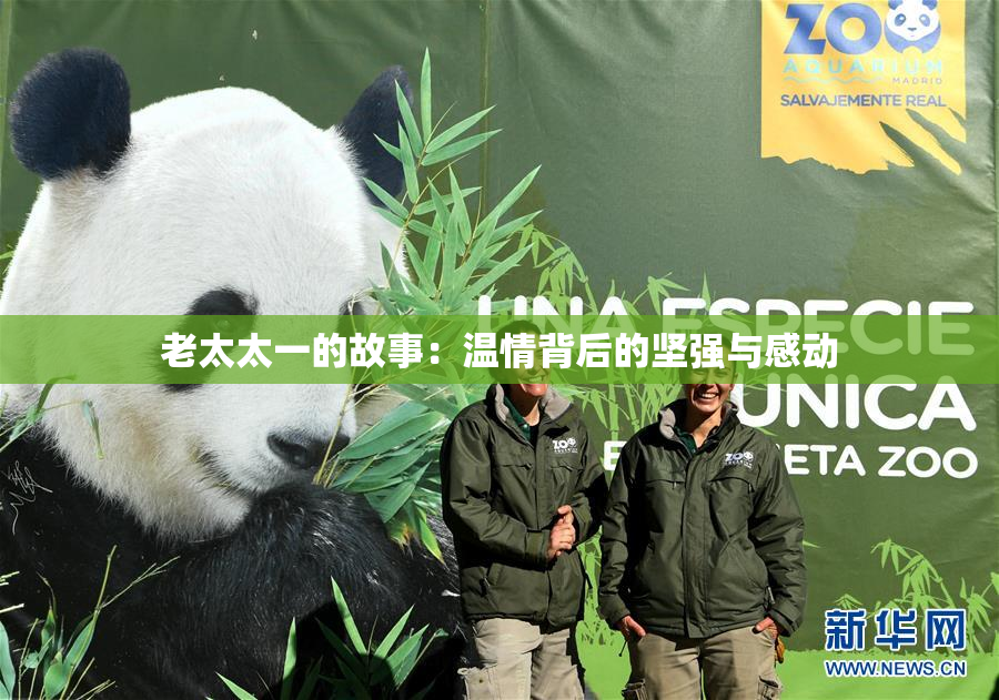 老太太一的故事：温情背后的坚强与感动