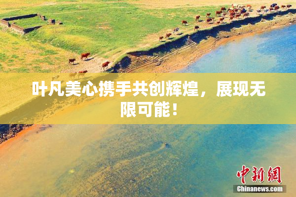 叶凡美心携手共创辉煌，展现无限可能！