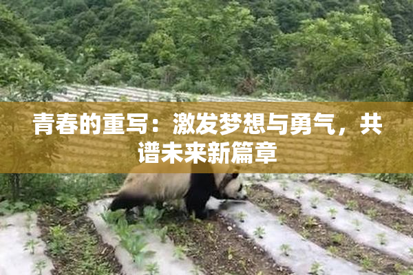 青春的重写：激发梦想与勇气，共谱未来新篇章