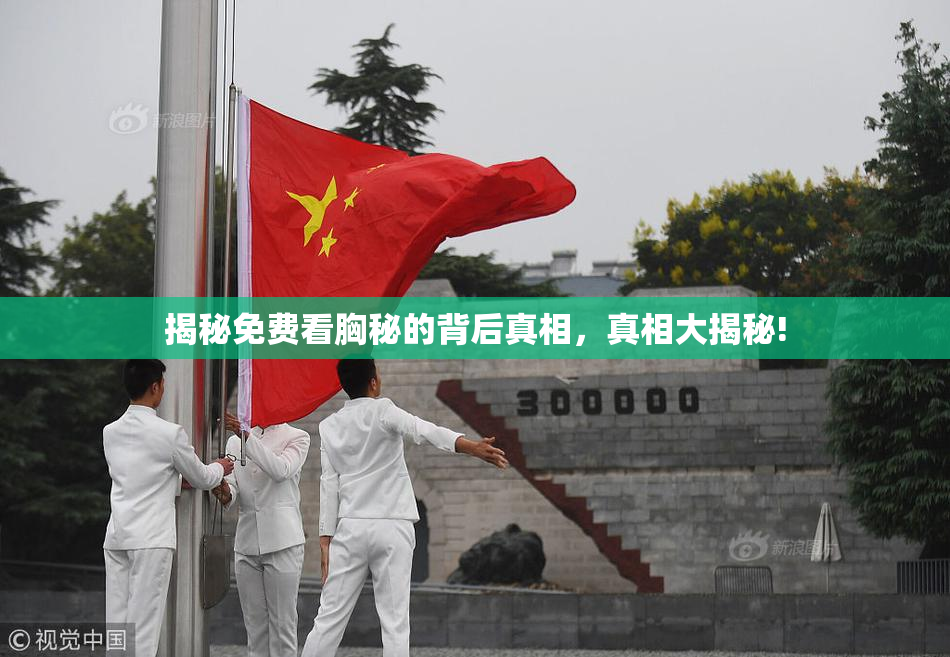 揭秘免费看胸秘的背后真相，真相大揭秘!