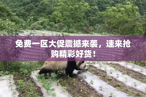 免费一区大促震撼来袭，速来抢购精彩好货！