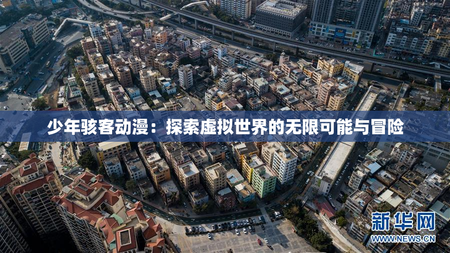 少年骇客动漫：探索虚拟世界的无限可能与冒险