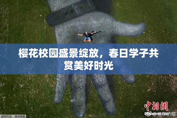 樱花校园盛景绽放，春日学子共赏美好时光