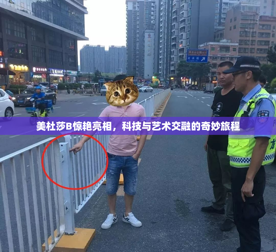 美杜莎B惊艳亮相，科技与艺术交融的奇妙旅程