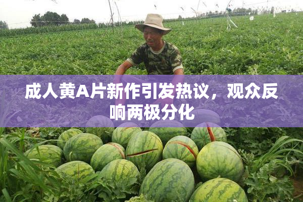 成人黄A片新作引发热议，观众反响两极分化