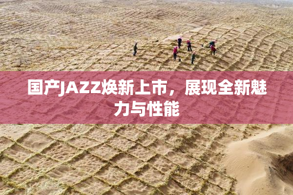 国产JAZZ焕新上市，展现全新魅力与性能