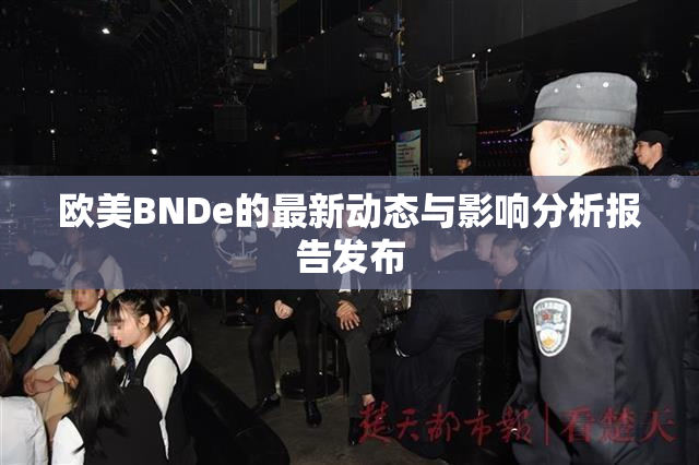 欧美BNDe的最新动态与影响分析报告发布