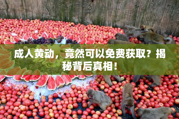 成人黄动，竟然可以免费获取？揭秘背后真相！