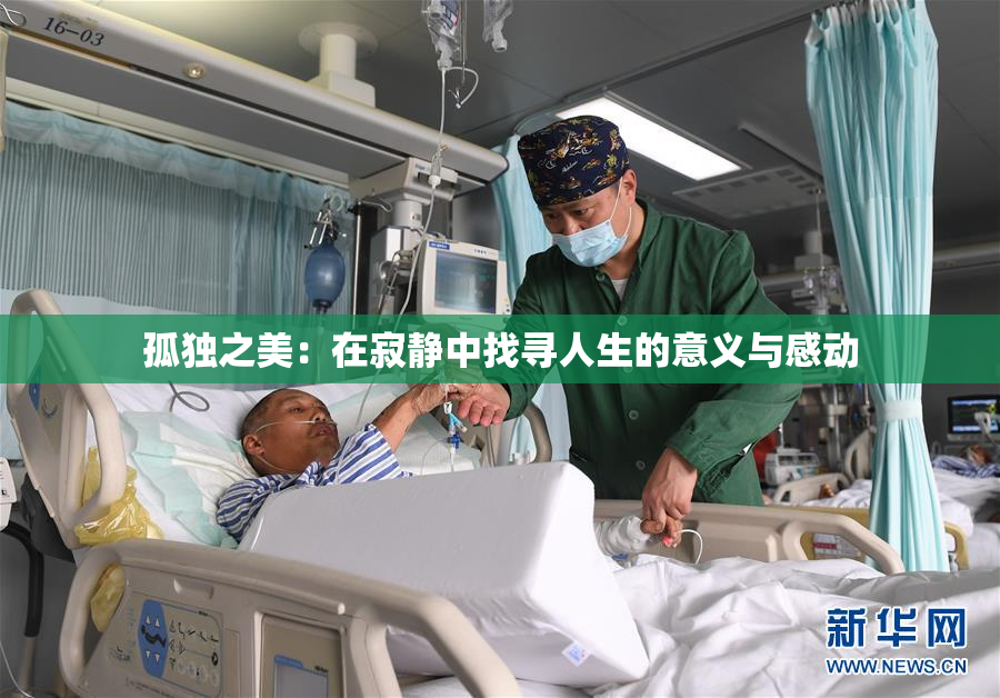 孤独之美：在寂静中找寻人生的意义与感动