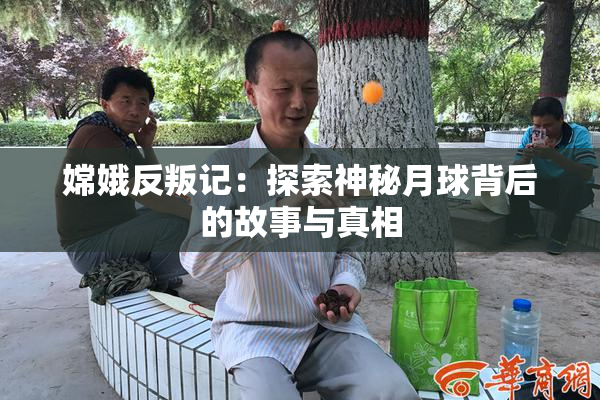 嫦娥反叛记：探索神秘月球背后的故事与真相