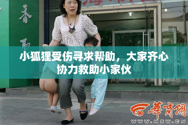 小狐狸受伤寻求帮助，大家齐心协力救助小家伙