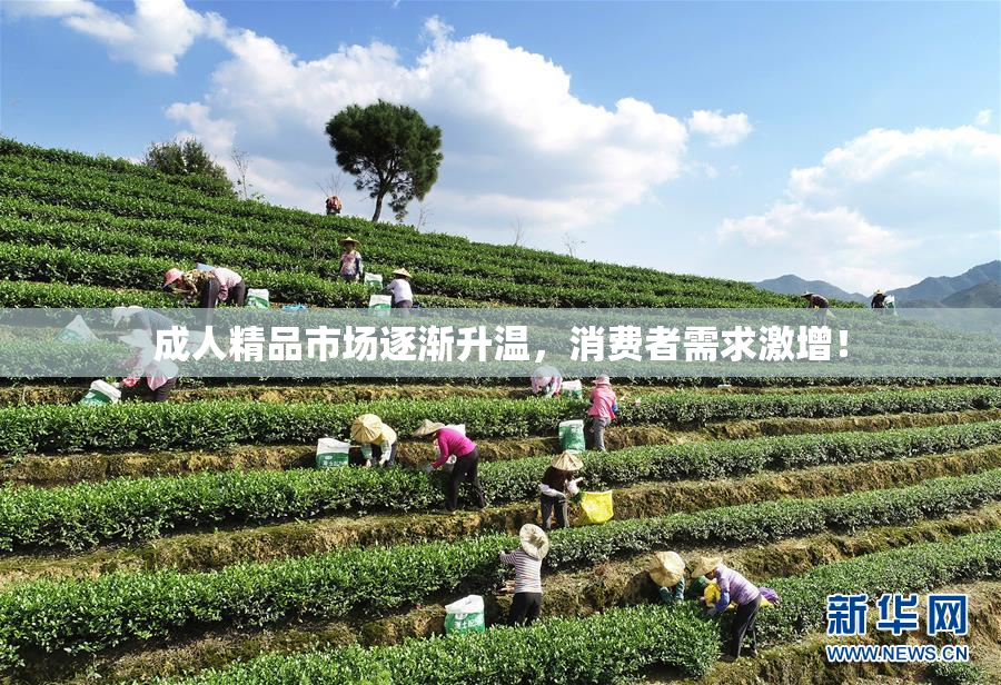 成人精品市场逐渐升温，消费者需求激增！