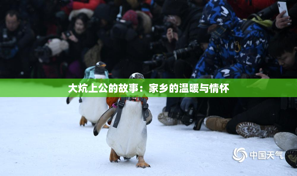 大炕上公的故事：家乡的温暖与情怀