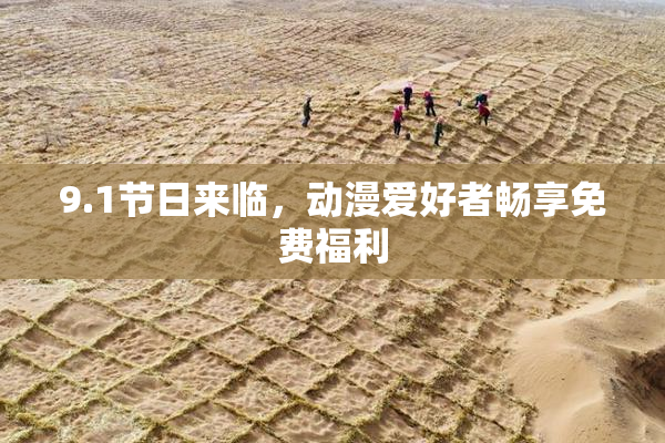 9.1节日来临，动漫爱好者畅享免费福利