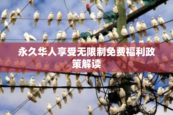 永久华人享受无限制免费福利政策解读