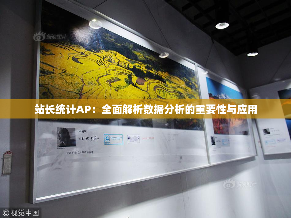 站长统计AP：全面解析数据分析的重要性与应用
