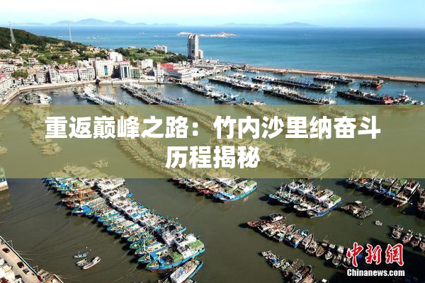 重返巅峰之路：竹内沙里纳奋斗历程揭秘