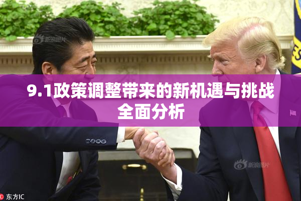 9.1政策调整带来的新机遇与挑战全面分析