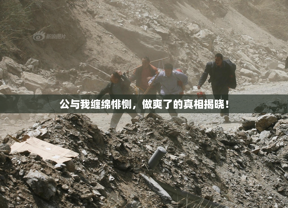 公与我缠绵悱恻，做爽了的真相揭晓！