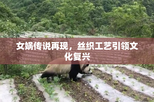 女娲传说再现，丝织工艺引领文化复兴