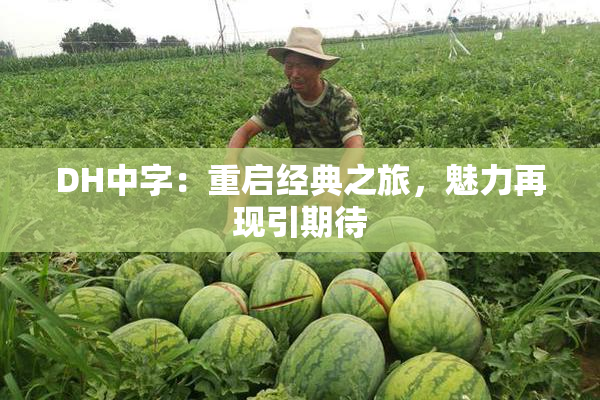 DH中字：重启经典之旅，魅力再现引期待
